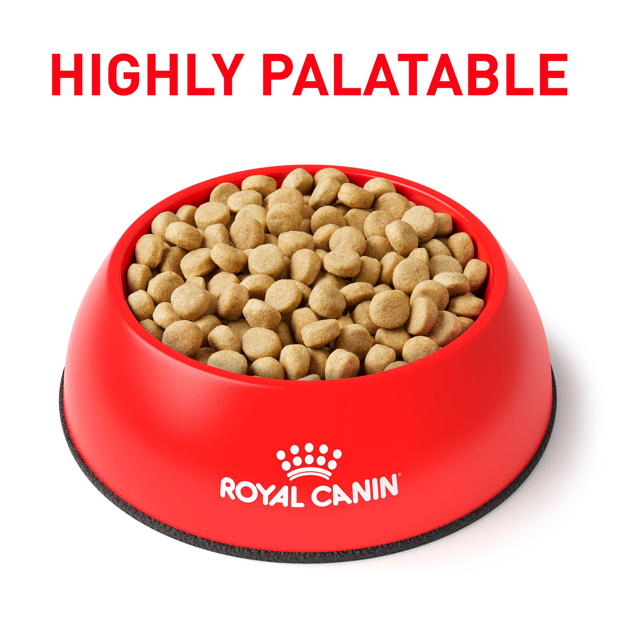 satiety small dog 8 kg