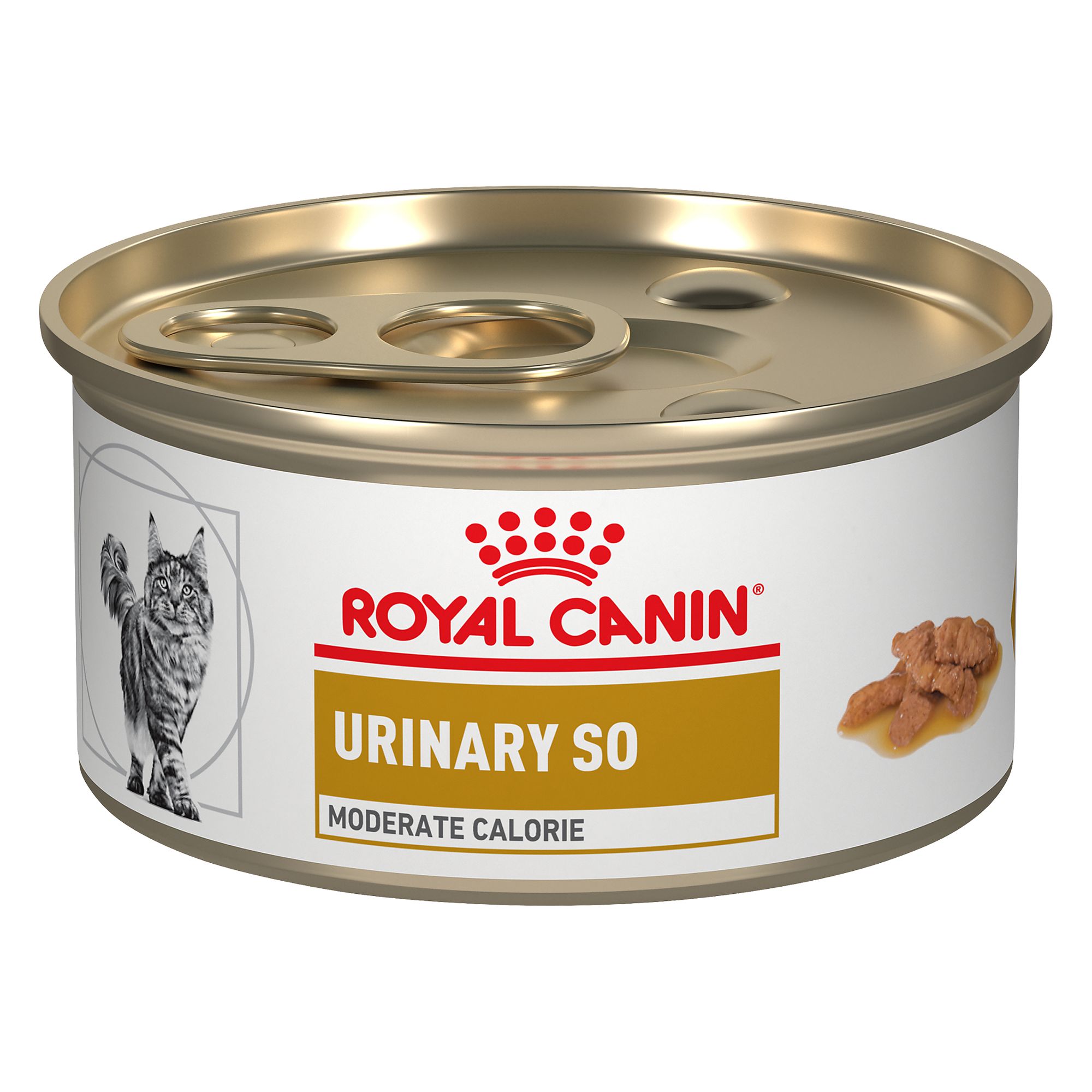 Royal Canin® Veterinary Diet Adult Cat Food - Urinary SO | cat ...