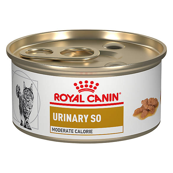 Royal Canin® Veterinary Diet Adult Cat Food Urinary SO cat