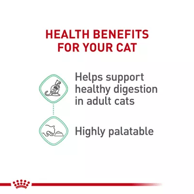 Product Royal Canin® Feline Care Nutrition Digestive Care Adult Cat Wet Food, 3 Oz