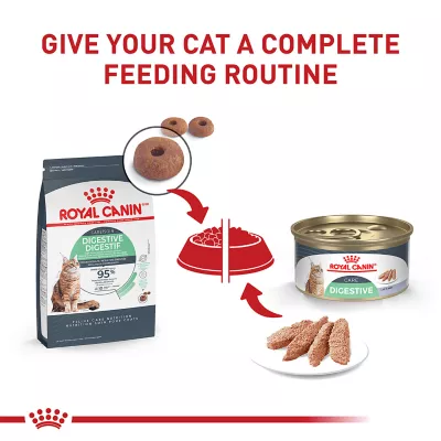 Product Royal Canin® Feline Care Nutrition Digestive Care Adult Cat Loaf in Sauce Wet Food  3 oz can