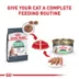 Royal Canin® Feline Care Nutrition Digestive Care Adult Wet Cat Food - 3 Oz image thumbnail 6