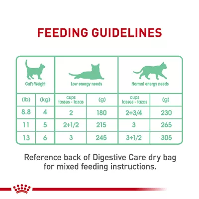 Product Royal Canin® Feline Care Nutrition Digestive Care Adult Cat Loaf in Sauce Wet Food  3 oz can