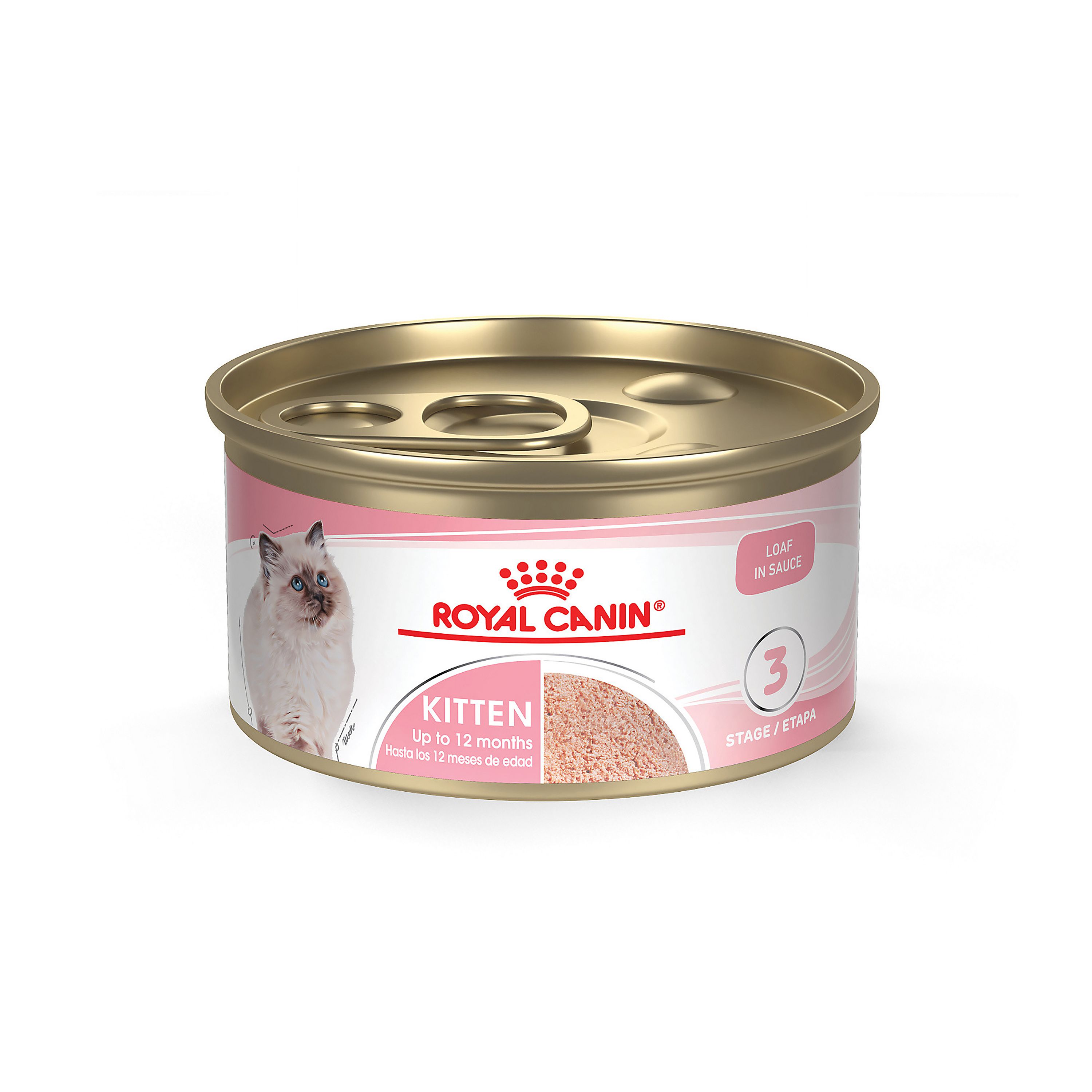 Kitten food royal canin sale