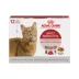 Royal Canin® Feline Health Nutrition Instinctive Adult Cat Slices in Gravy Wet Food  3 oz can 12ct image thumbnail 1