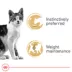 Royal Canin® Feline Health Nutrition Instinctive Adult Cat Slices in Gravy Wet Food  3 oz can 12ct image thumbnail 2