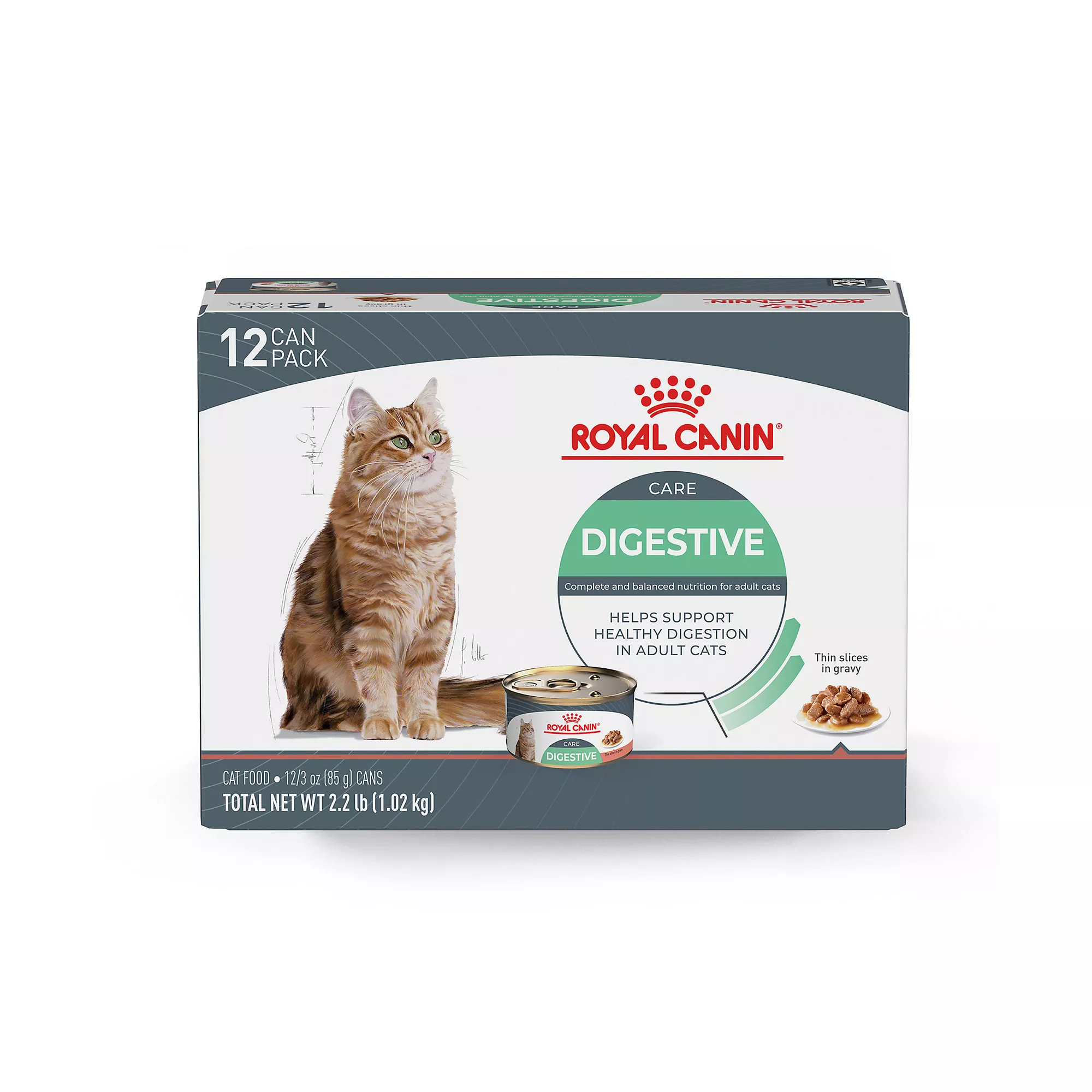 Royal Canin® Feline Care Nutrition Digestive Care Adult Cat Wet Food, 12-ct