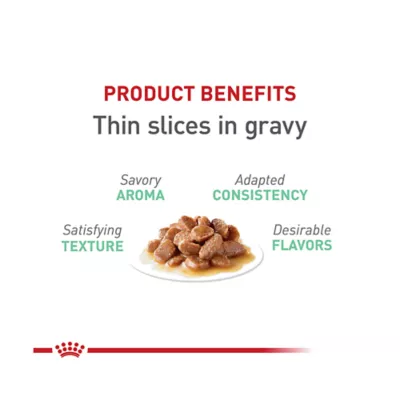 Product Royal Canin® Feline Care Nutrition Digestive Care Adult Cat Wet Food, 12-ct