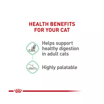 Product Royal Canin® Feline Care Nutrition Digestive Care Adult Cat Wet Food, 12-ct