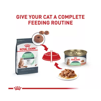 Product Royal Canin® Feline Care Nutrition Digestive Care Adult Cat Slices in Gravy Wet Food  3 oz 12-ct