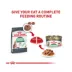 Royal Canin® Feline Care Nutrition Digestive Care Adult Cat Wet Food, 12-ct image thumbnail 6