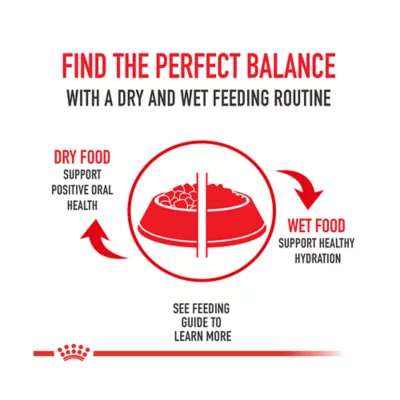 Product Royal Canin® Feline Care Nutrition Digestive Care Adult Cat Slices in Gravy Wet Food  3 oz 12-ct