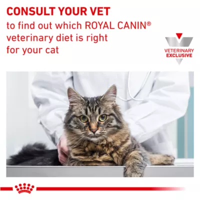 Product Royal Canin® Veterinary Diet Feline Renal Support D Adult Cat Wet Food in Gravy  3 oz can