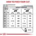 Royal Canin® Veterinary Diet Feline Renal Support D Adult Cat Wet Food in Gravy  3 oz can image thumbnail 8
