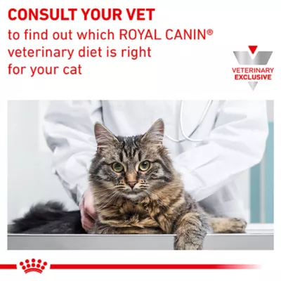 Product Royal Canin® Veterinary Diet Feline Renal Support D Adult Cat Wet Food in Gravy  3 oz can