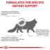Royal Canin® Veterinary Diet Feline Renal Support A Adult Dry Cat Food image thumbnail 5