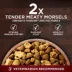 Purina ONE True Instinct Dry Dog Food - Turkey & Venison image thumbnail 6