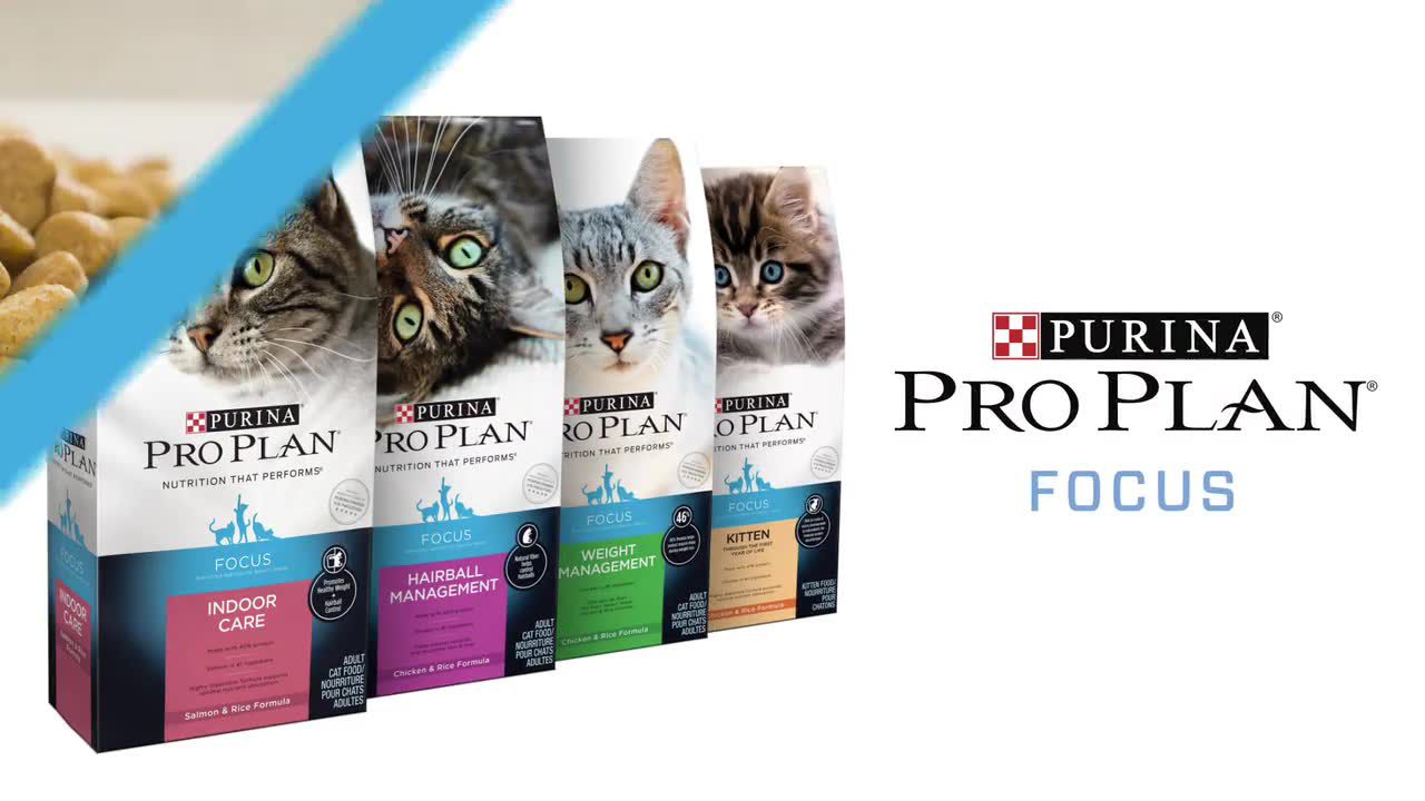 purina pro plan focus petsmart