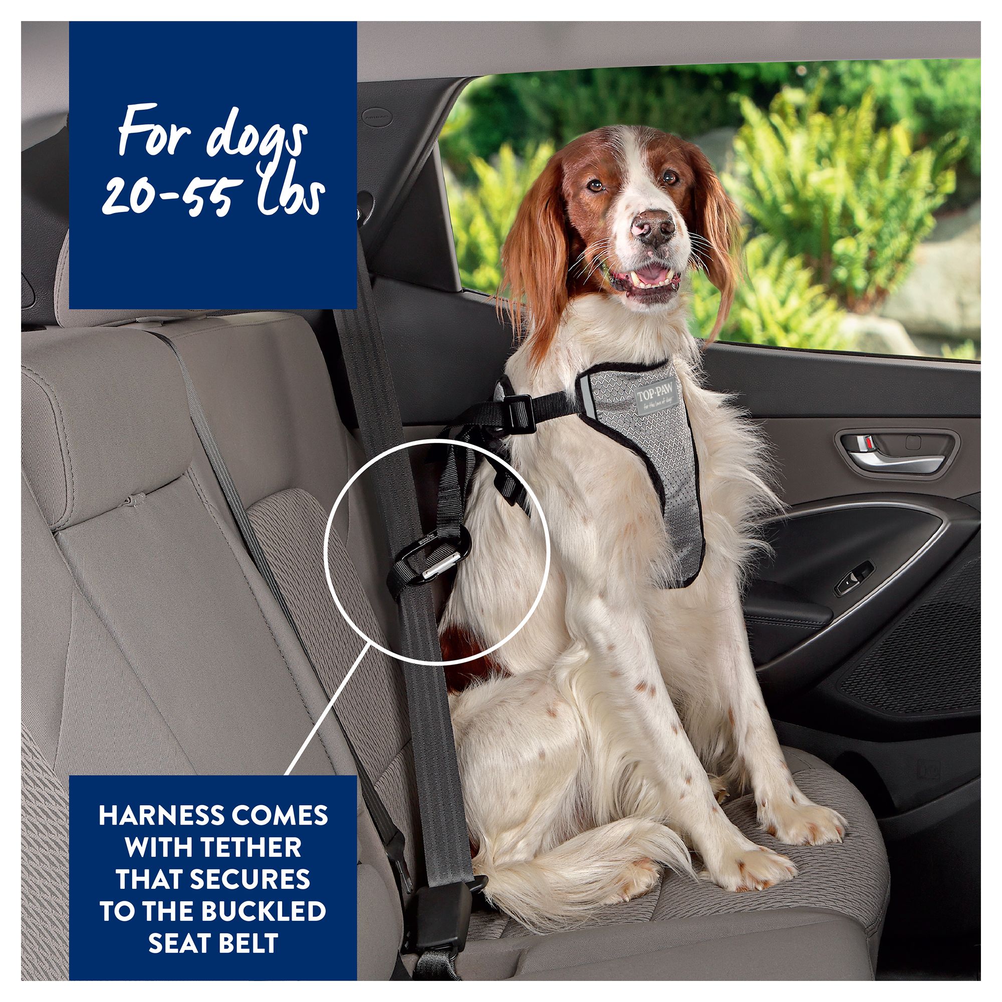 Top Paw Travel Dog Harness Dog Harnesses Petsmart