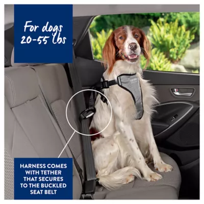 Product Top Paw Travel Harness