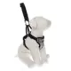 Product Top Paw Travel Harness