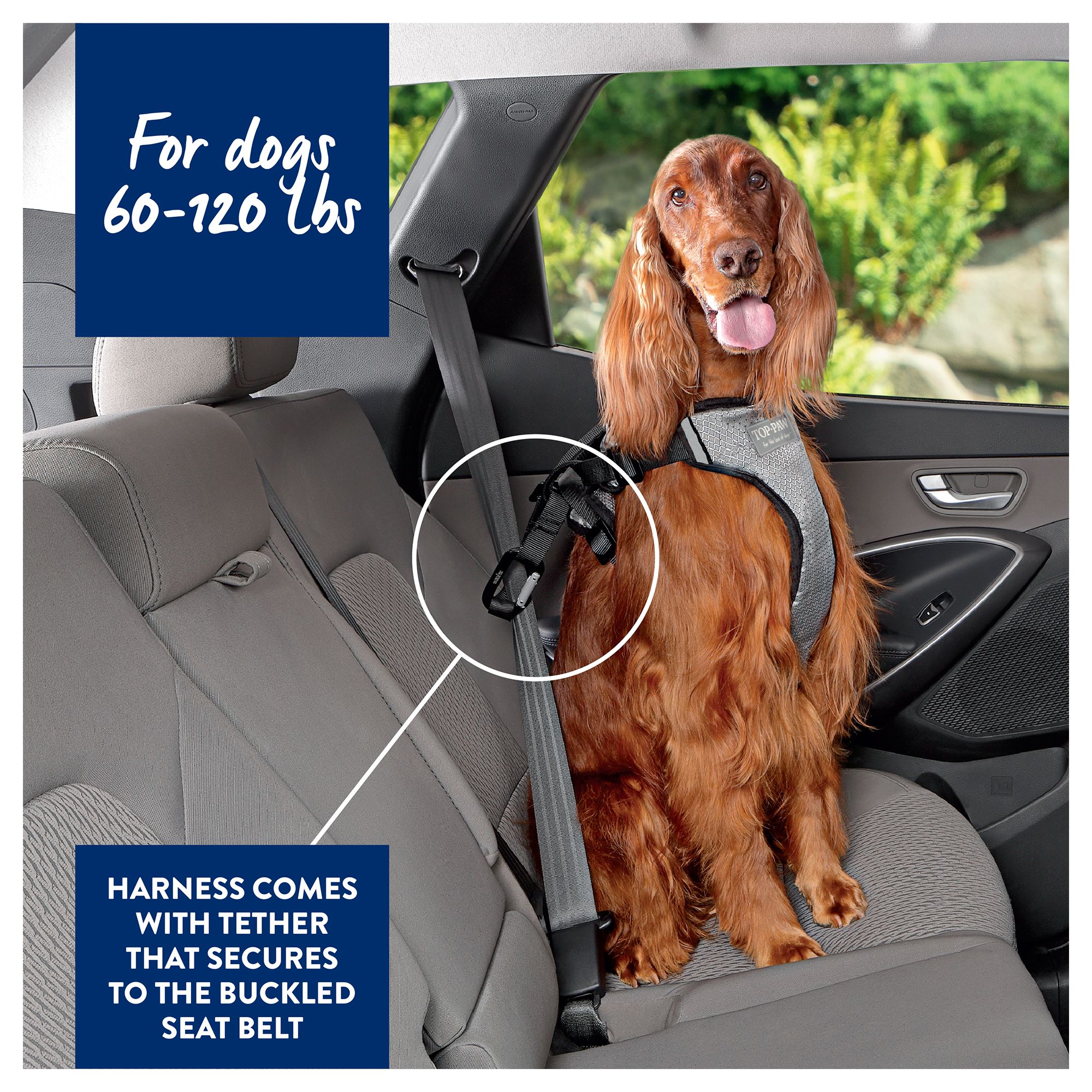 Kurgo dog harness store petsmart