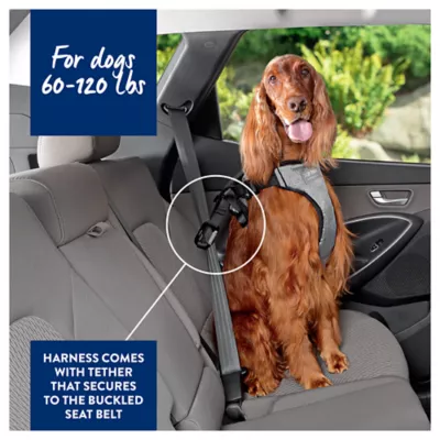 Product Top Paw Travel Harness