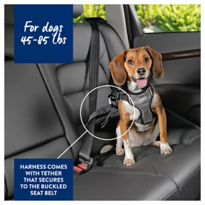 Product Top Paw Travel Harness
