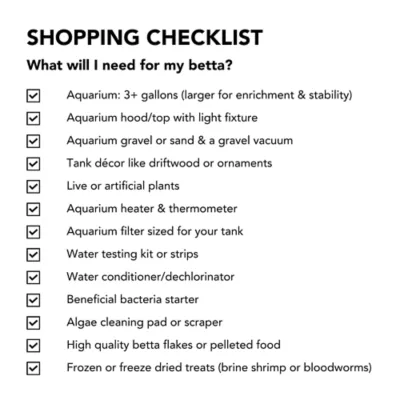 Female Halfmoon Betta Fish - Image 6