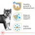 Royal Canin Canine Health Nutrition Puppy Dog Wet Food - 13.5 oz image thumbnail 2