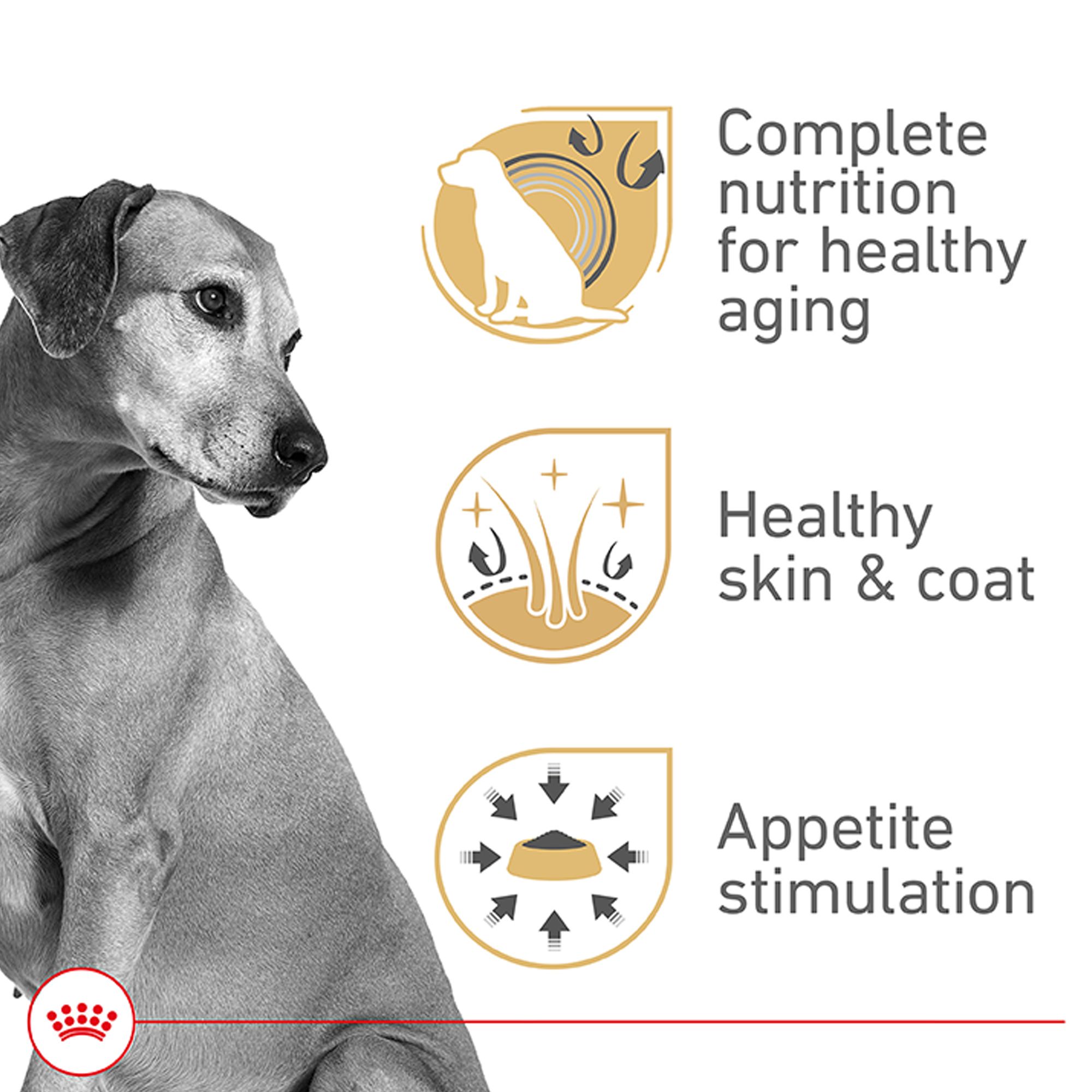 Royal Canin Canine Health Nutrition Mature Adult Dog Wet Food