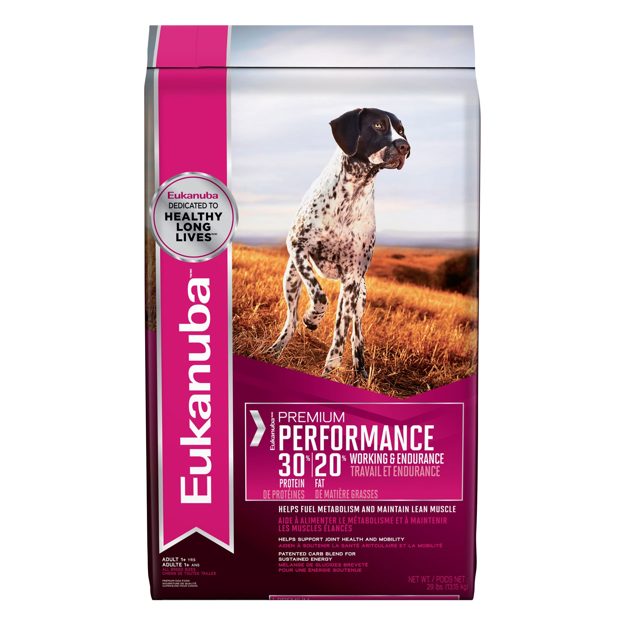 premium dog food