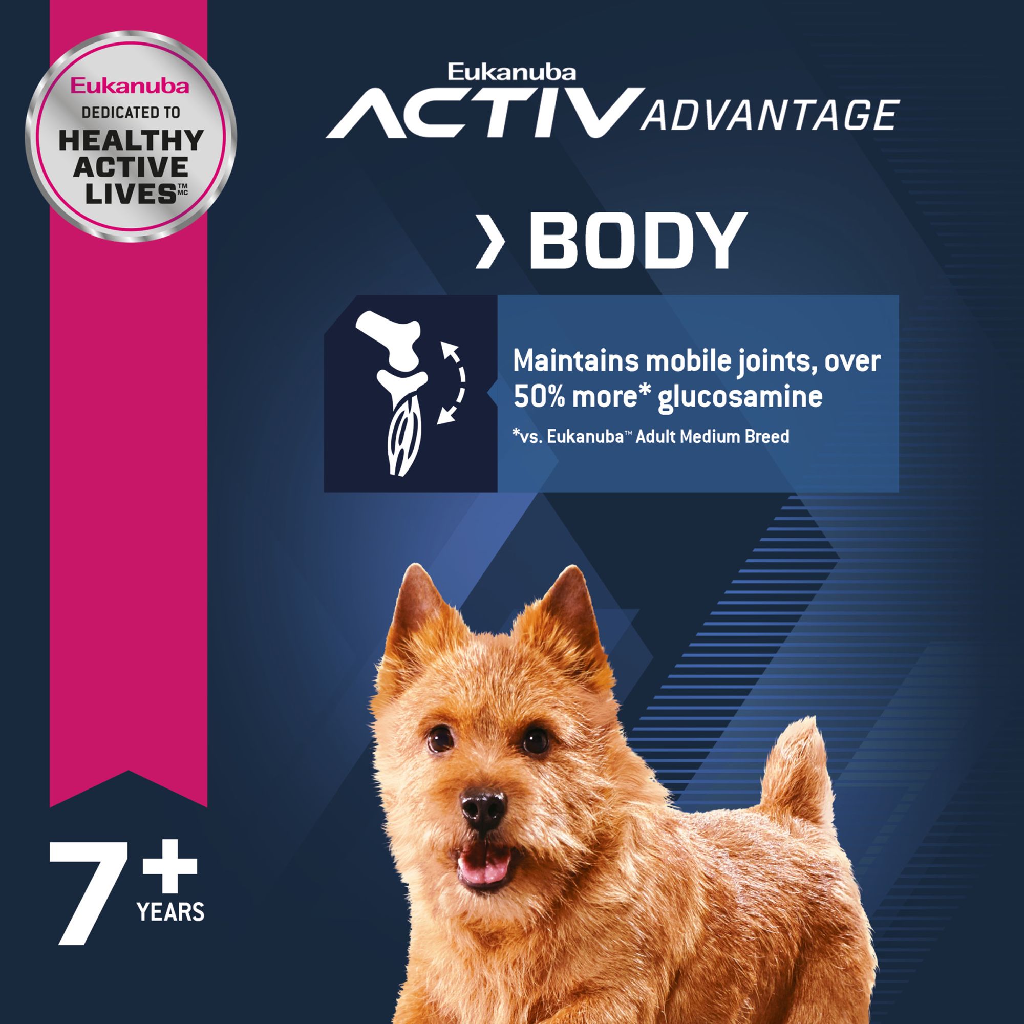 eukanuba senior large breed 15 kg