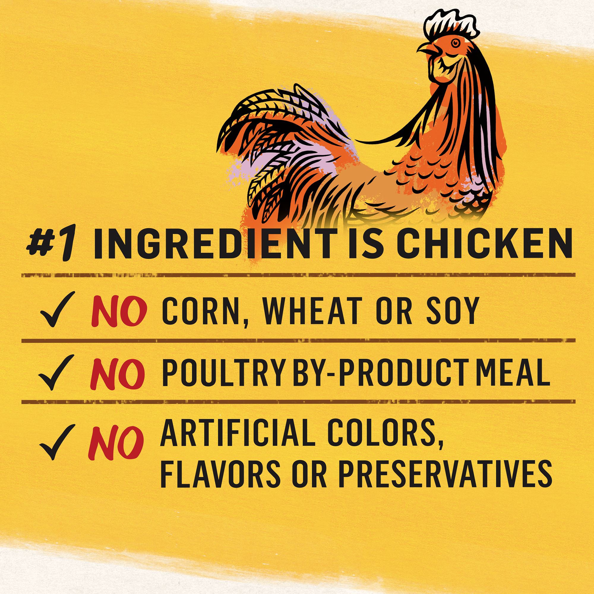 purina beyond dog food petsmart