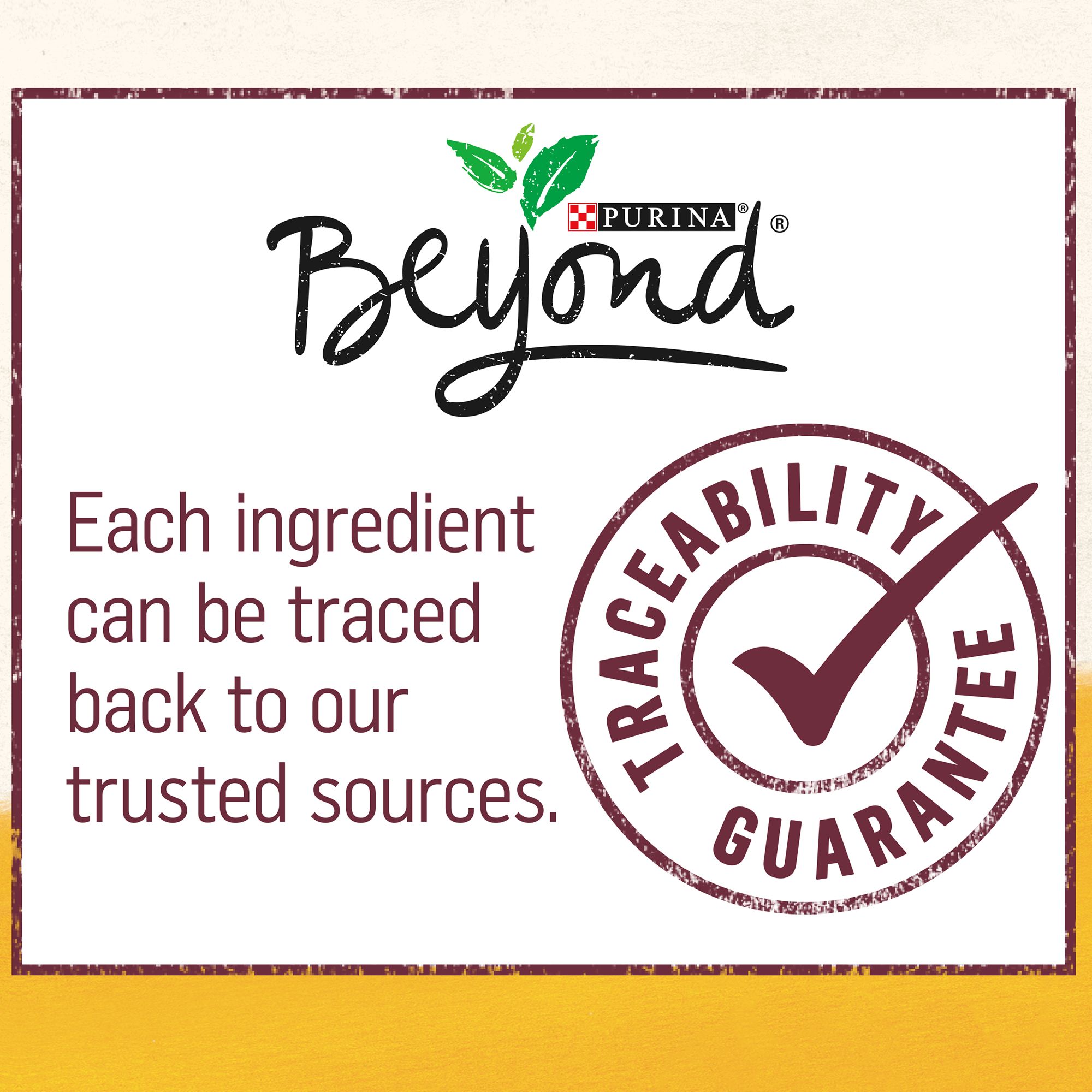 purina beyond dog food petsmart