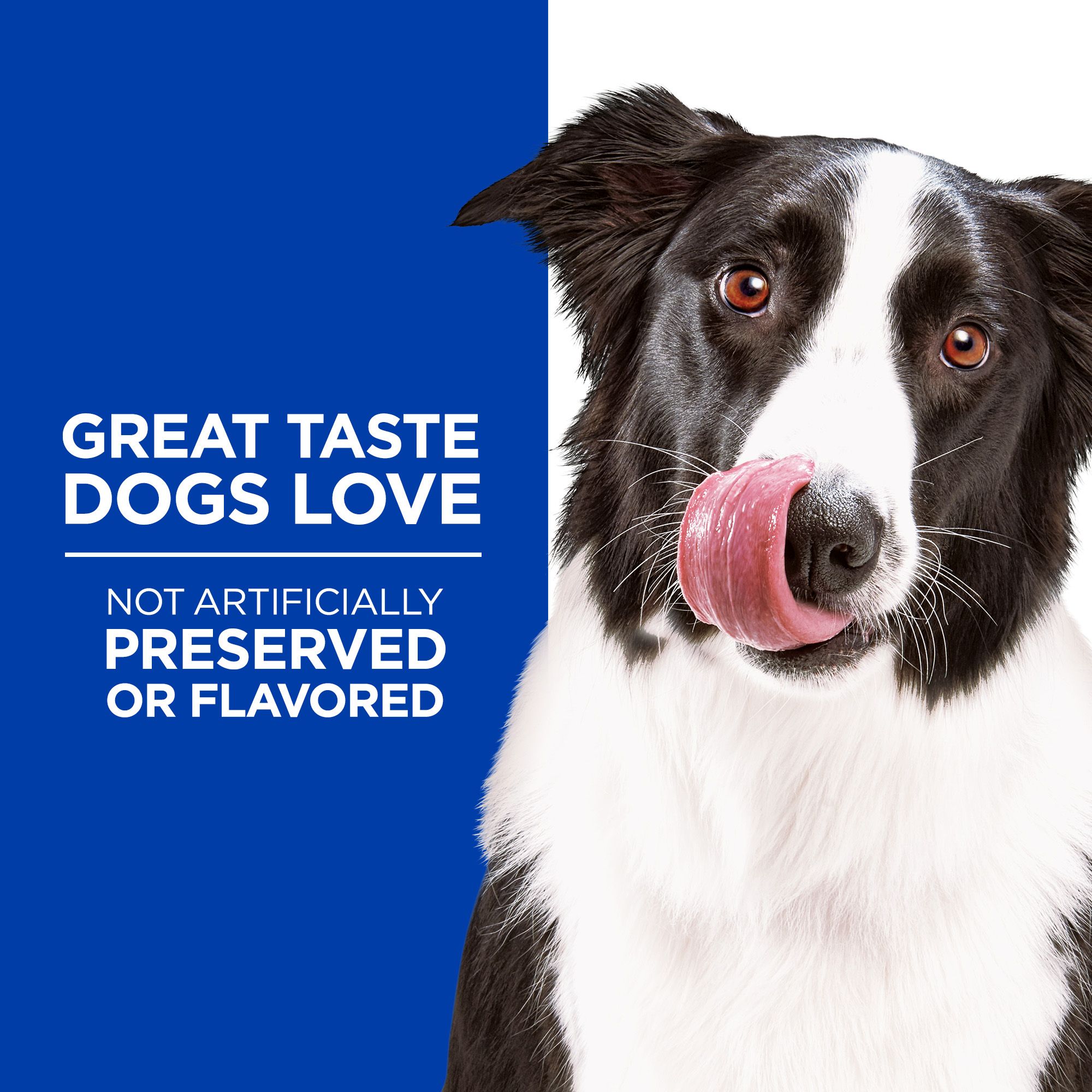 science diet flexi stix