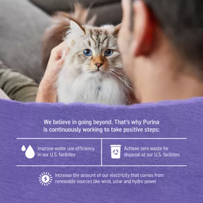 Product Purina® Beyond®  Adult Cat Wet Food - 3.33 oz., Grain Free, Corn Free, Wheat Free, Soy Free