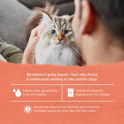 Product Purina® Beyond® Grain Free Adult Cat Wet Food - 3.33 oz., Natural, Non-GMO, Grain Free