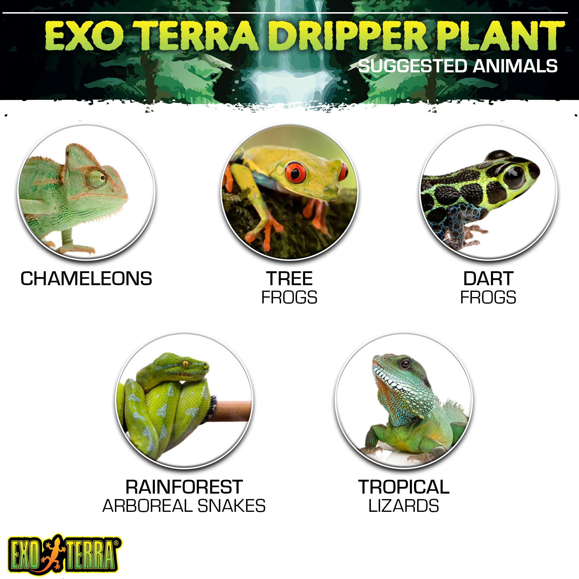 Exo Terra® Dripper Reptile Pplant