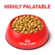 Product Royal Canin® Veterinary Diet Canine Ultamino Adult Dry Dog Food