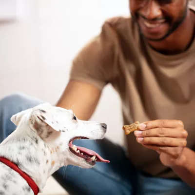 Product Milk-Bone Flavor Snacks Dog Treat All Ages - Bacon