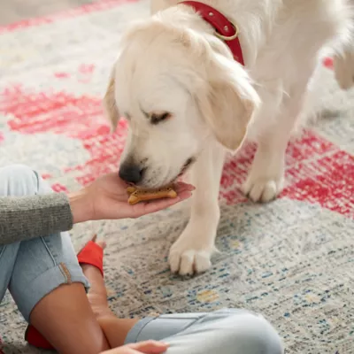 Product Milk-Bone Flavor Snacks Dog Treat All Ages - Beef, Chicken, Turkey, Bacon, Sausage
