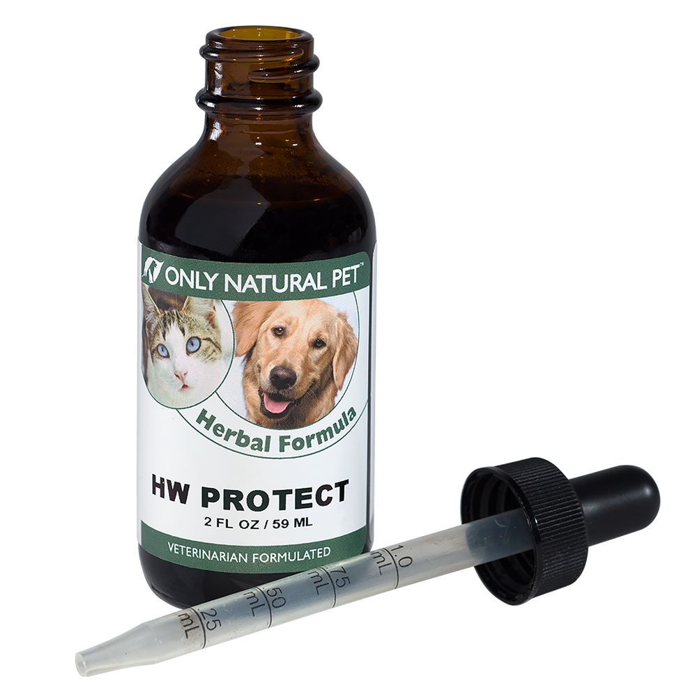 heartworm prevention petsmart