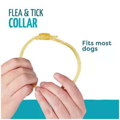 Only Natural Pet EasyDefense Dog Flea Tick Mosquito Collar