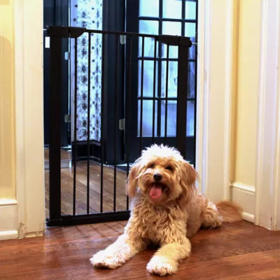 Product Cardinal Gates Extra Tall Premium Pressure Pet Gate