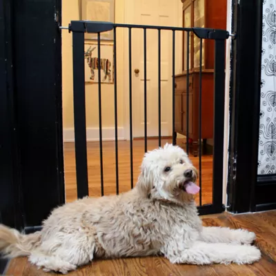 Product Cardinal Gates Extra Tall Premium Pressure Pet Gate