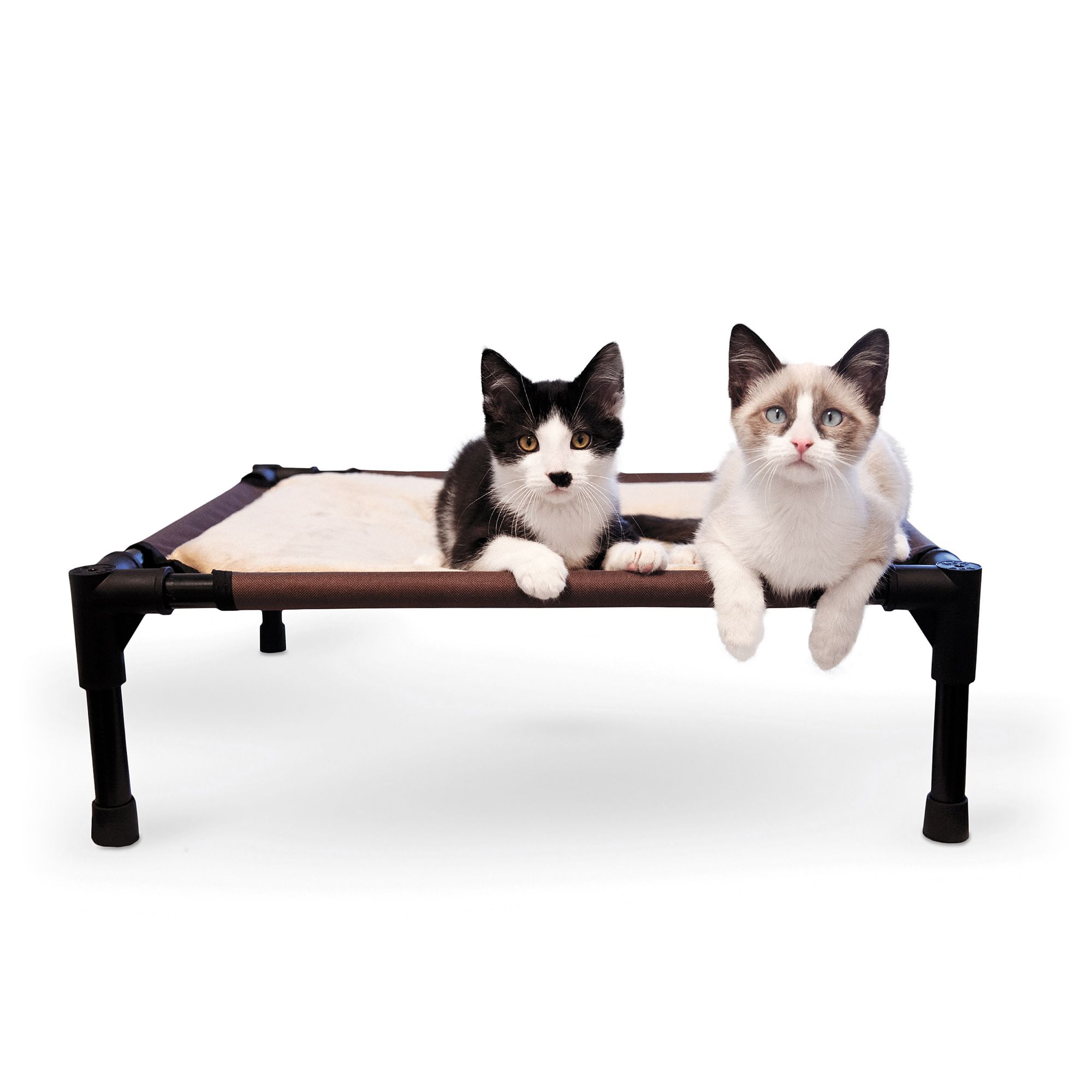 Elevated dog bed petsmart hotsell