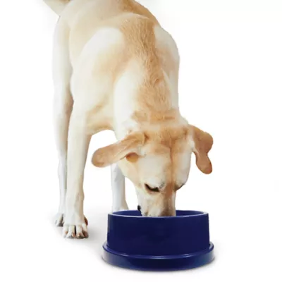 Product K&H Coolin' Pet Bowl