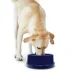 K&H Coolin' Pet Bowl image thumbnail 5