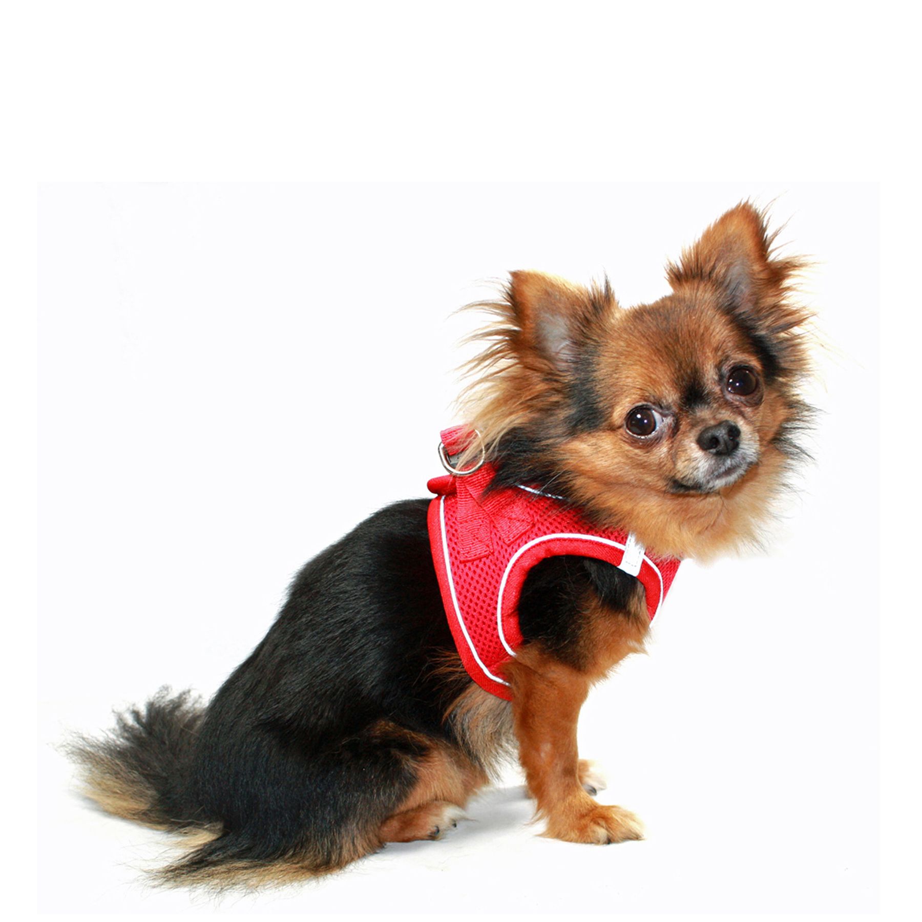 Hip Doggie EZ Reflective Sport Vest dog Harnesses PetSmart